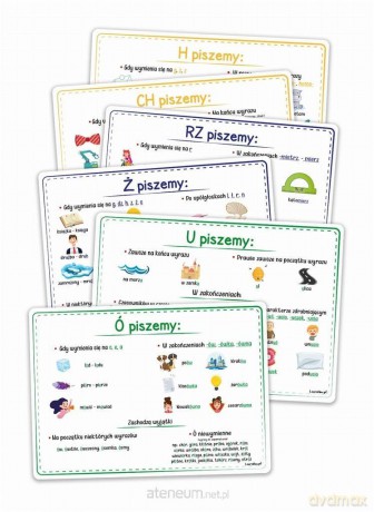 Plansze edukacyjne A4 - Ortografia 6 kart [KSIĄŻKA]