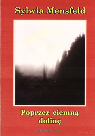 Poprzez ciemną dolinę - Sylwia Mensfeld [KSIĄŻKA]