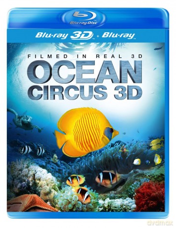 Ocean Circus 3D [Blu-Ray 3D]