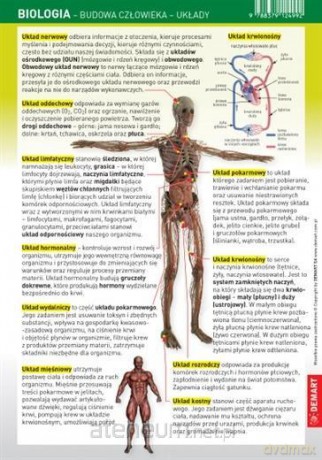 Ściągawka - Biologia - Budowa człowieka, układy [KSIĄŻKA]
