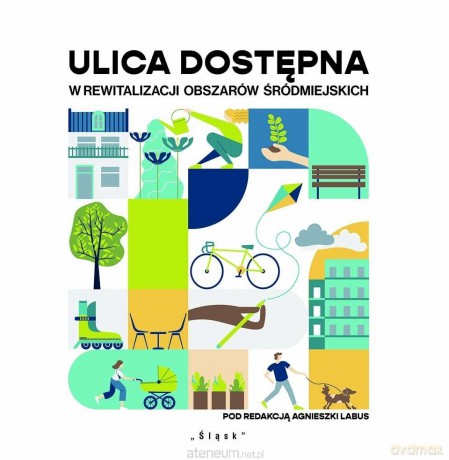 Ulica dostępna w rewitalizacji obszarów śródmiejsk [KSIĄŻKA]