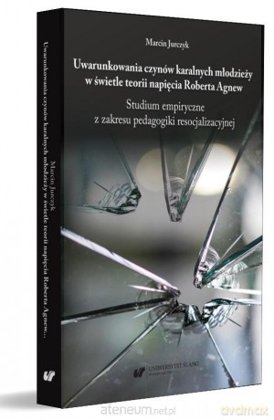 Uwarunkowania czynów karalnych młodzieży - Marcin Jurczyk [KSIĄŻKA]