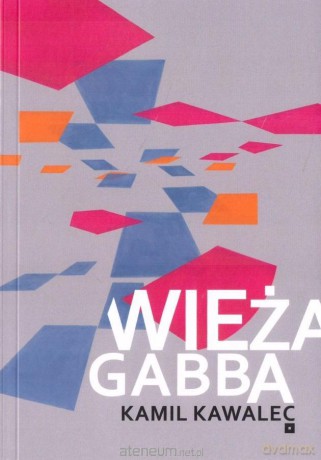 Wieża Gabba - Kamil Kawalewc [KSIĄŻKA]