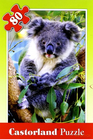 CASTOR 80 MINI Koala A-08514-DZ [PUZZLE]