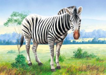 CASTOR 24 MINI Zebra A-02405-Z [PUZZLE]