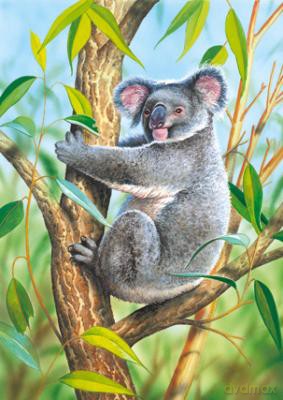 CASTOR 24 MINI Mała koala A-02405-Z [PUZZLE]