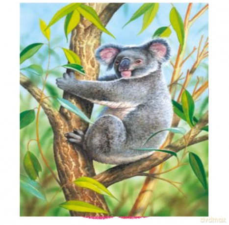 CASTOR 24 MINI Mała koala A-02405-Z [PUZZLE]