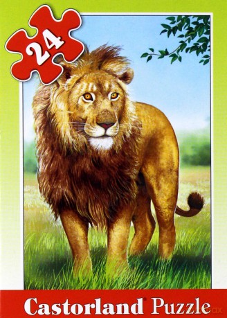 CASTOR 24 MINI Lew A-02405-Z [PUZZLE]
