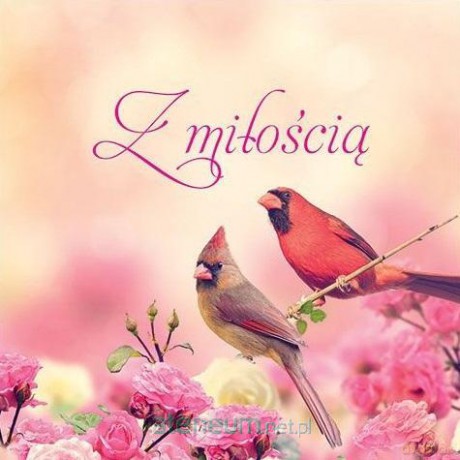 Z miłością [KSIĄŻKA]