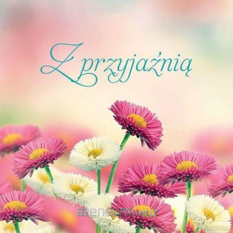 Z przyjaźnią [KSIĄŻKA]