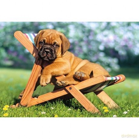 CASTOR 80 MINI Pupilek na leżaku A-08514-Z [PUZZLE]