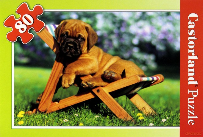 CASTOR 80 MINI Pupilek na leżaku A-08514-Z [PUZZLE]