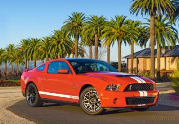 CASTOR 54 MINI Shelby Ford Mustang GT500SVT A-08521-M2 [PUZZLE]