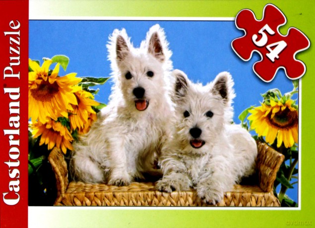 CASTOR 54 MINI Dwa pieski na krzesle A-08521-Z [PUZZLE]