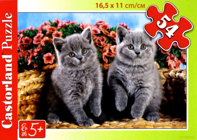 CASTOR 54 MINI Dwa szare kotki A-08521-Z [PUZZLE]