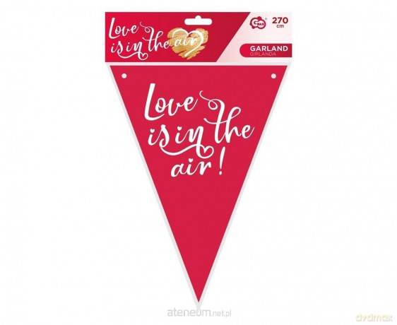 Girlanda flagi papierowa Love is in the air 270 cm