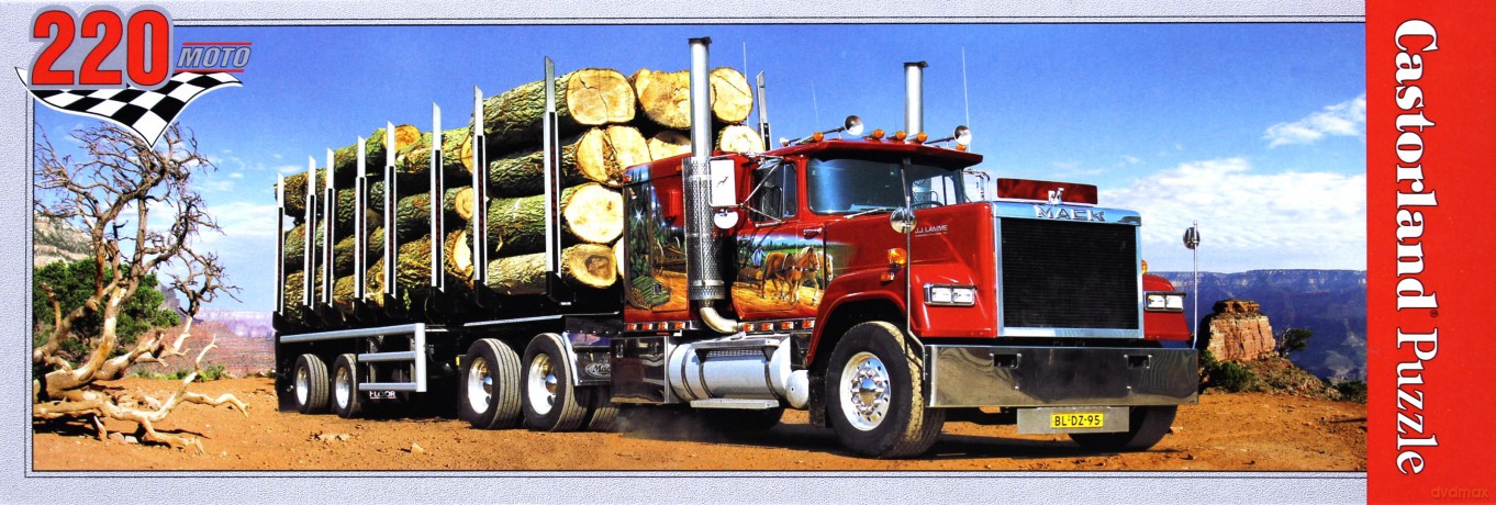 CASTOR 220 MINI Tir z Drzewem A-22014-T [PUZZLE]