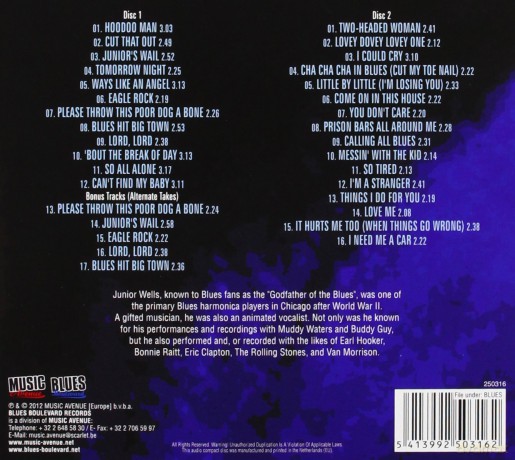 Junior Wells: Paint The Town Blues (digipack) [2CD]