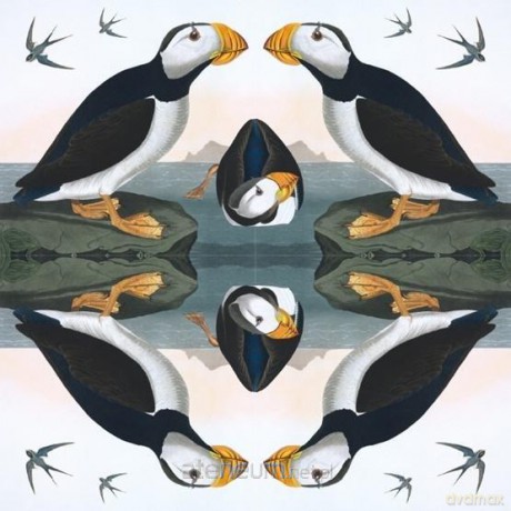 Karnet kwadrat z kopertą Horned Puffin