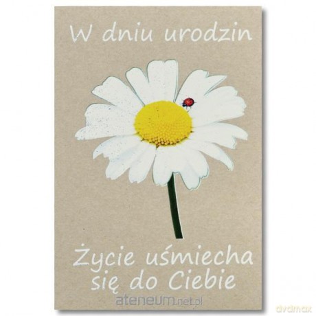 Kartka okolicznościowa Urodziny