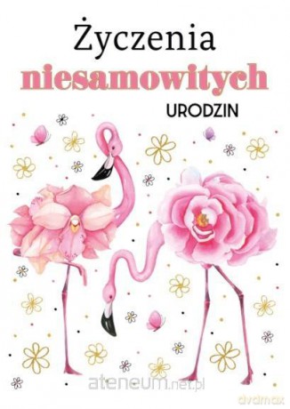 Kartka okolicznościowa Urodziny TS106
