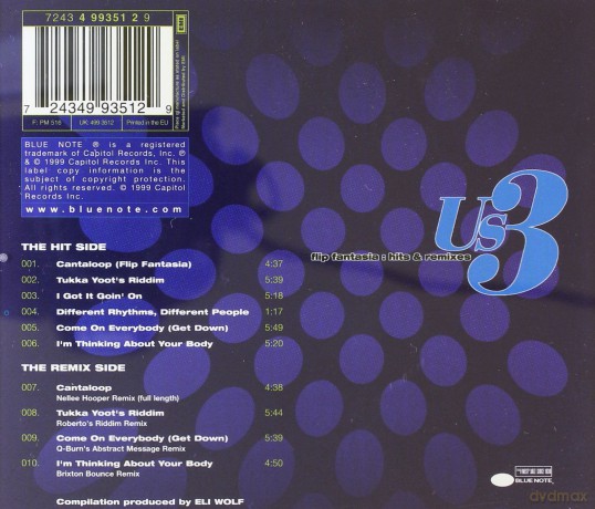 Flip Fantasia: Hit Remixes [CD]