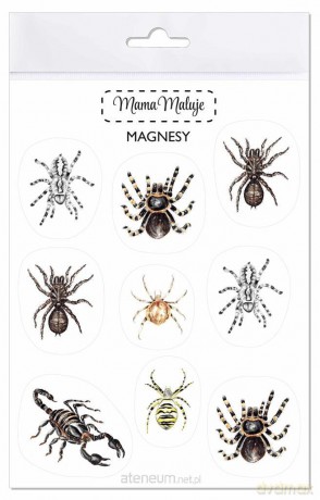 Magnesy Pajęczaki