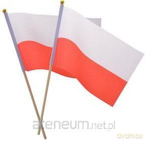 Materiałowa flaga na patyczku (2 szt)