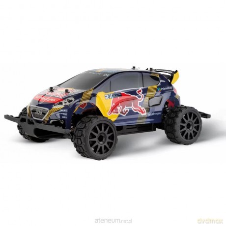 RC Cars Profi