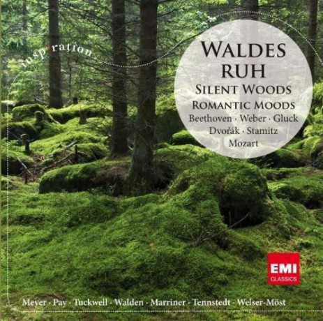 Silent Woods: Romantic Woods [CD]