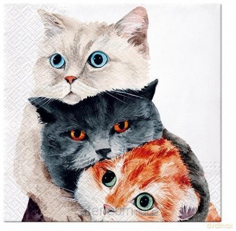 Serwetki Koty 33x33 cm 20 szt