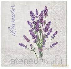 Serwetki Lawenda 33x33 cm 20 szt