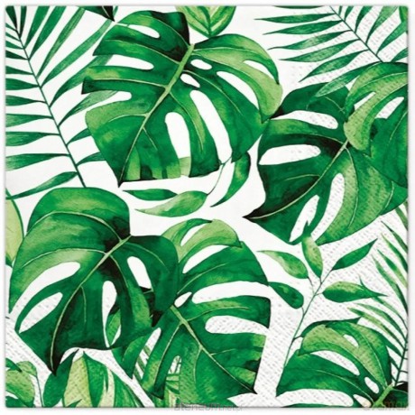Serwetki Monstera 33x33 cm 20 szt