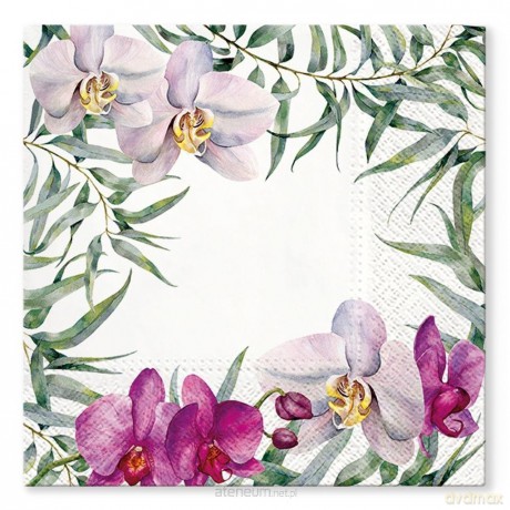 Serwetki Orchidea 33x33 cm 20 szt