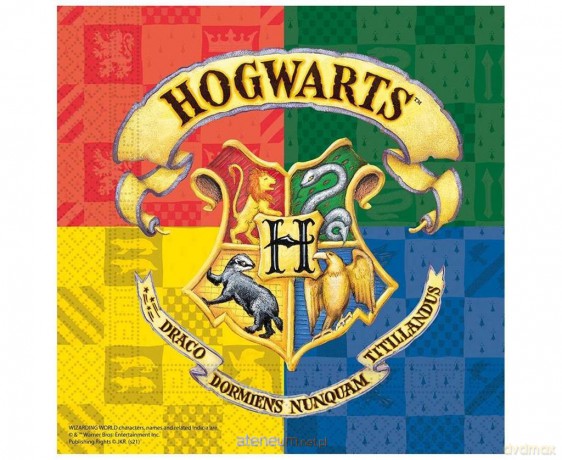 Serwetki papiertowe Harry Potter 33x33 cm 20 szt