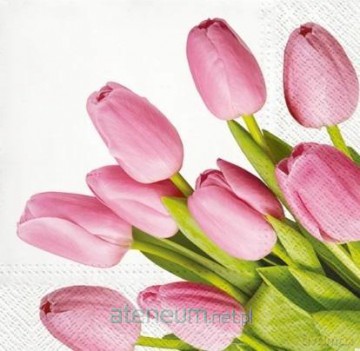 Serwetki Tulipany 33x33 cm 20 szt