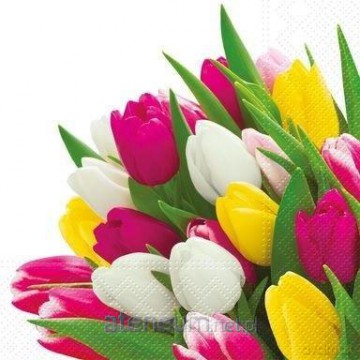 Serwetki Tulipany 33x33 cm 20 szt