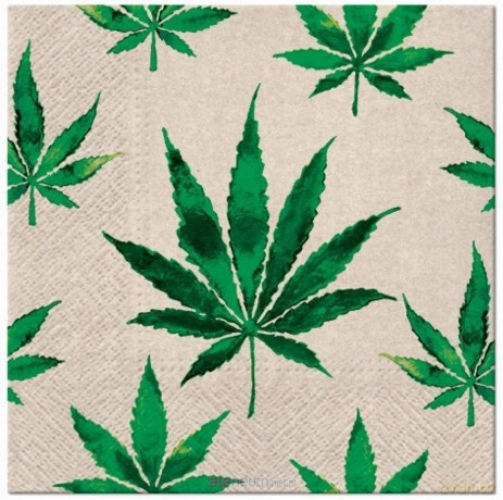 Serwetki We Care Marihuana 33x33 cm 20 szt
