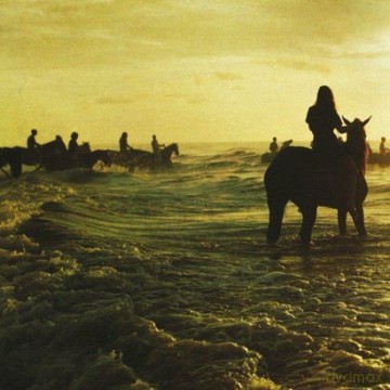 Foals: Holy Fire [Winyl]