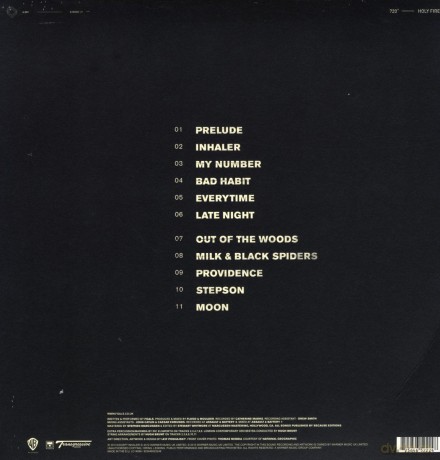Foals: Holy Fire [Winyl]