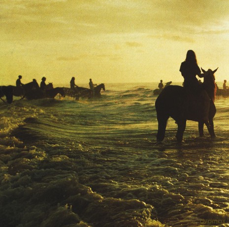 Foals: Holy Fire [Winyl]