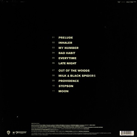 Foals: Holy Fire [Winyl]
