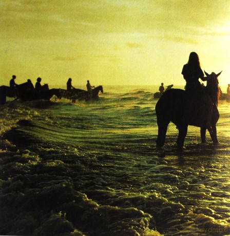 Foals: Holy Fire [Winyl]
