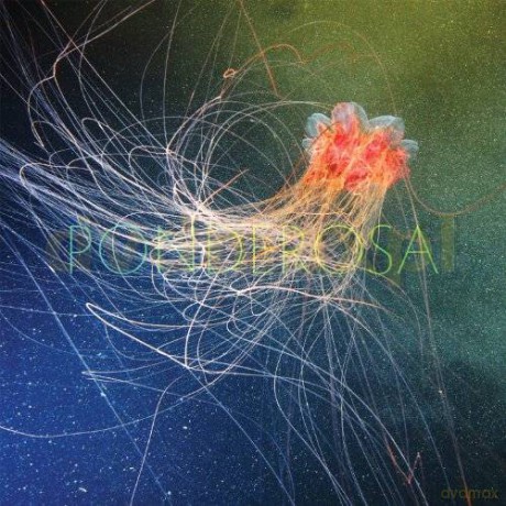 Ponderosa: Pool Party (ecopack) [CD]