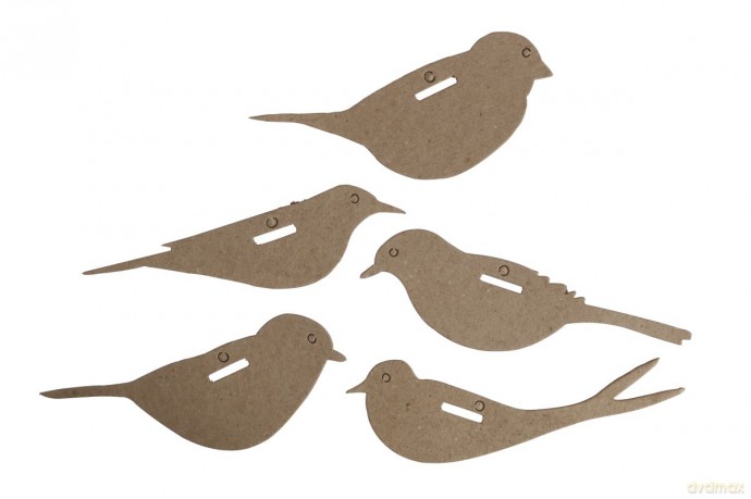 Zestaw kształtów tekturowych Bird 5 szt