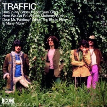 Traffic: Icon: Traffic [CD]