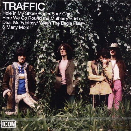 Traffic: Icon: Traffic [CD]