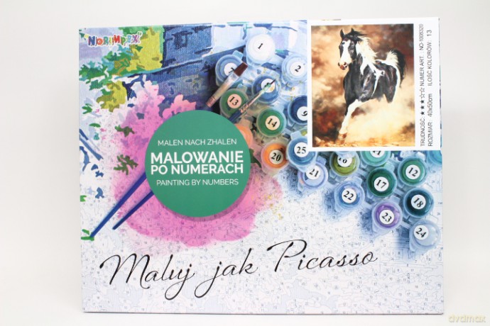 Malowanie po nr Koń w galopie 1008320 83203