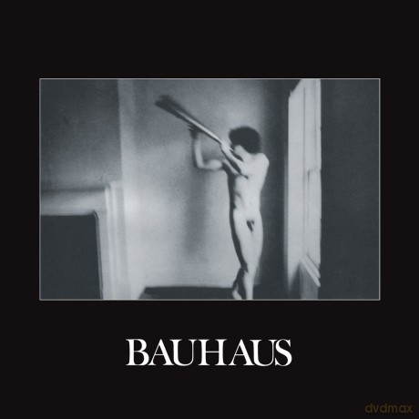 Bauhaus: In The Flat Field - Remastered [WINYL]