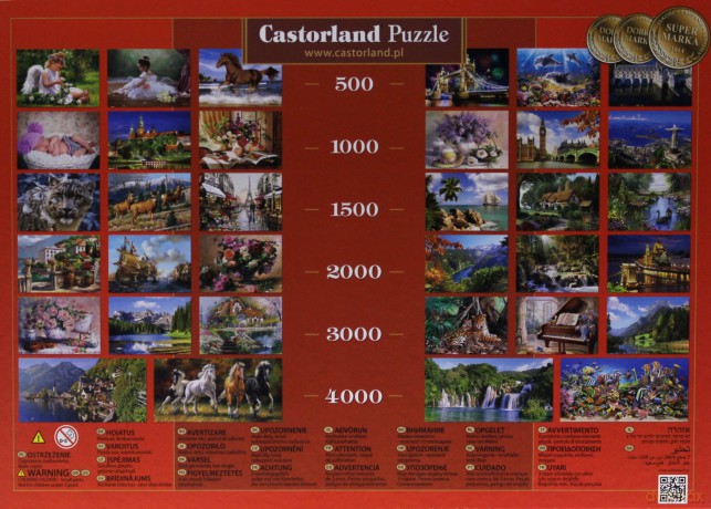 CASTOR 500 Rose Petal Gift B-5700-1 [PUZZLE]